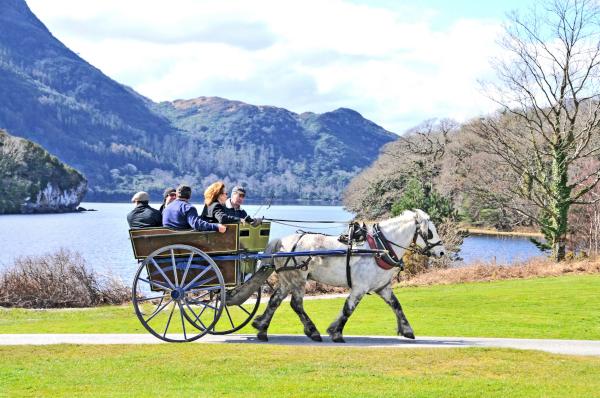 19. Поездка на запряженной тележке в Килларни (Killarney)