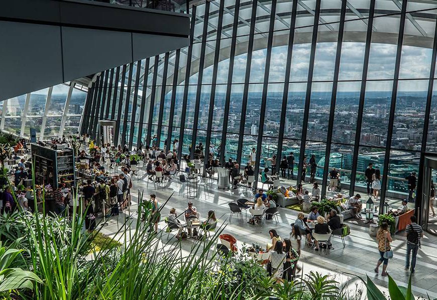 THE SKY GARDEN