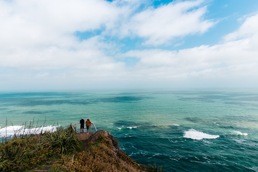 Поднимитесь в парк Waitakere Ranges